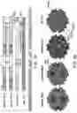 Fig. 07 - ADENO-ASSOCIATED VIRUS VARIANTS AND METHODS OF USE THEREOF
