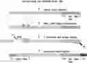 Fig. 01 - Methods for Preparing CDNA Samples for RNA Sequencing, and CDNA Samples and Uses Thereof