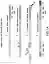 Fig. 02 - Methods for Preparing CDNA Samples for RNA Sequencing, and CDNA Samples and Uses Thereof