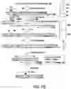 Fig. 03 - Methods for Preparing CDNA Samples for RNA Sequencing, and CDNA Samples and Uses Thereof