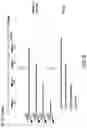 Fig. 05 - Methods for Preparing CDNA Samples for RNA Sequencing, and CDNA Samples and Uses Thereof