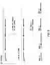 Fig. 08 - Methods for Preparing CDNA Samples for RNA Sequencing, and CDNA Samples and Uses Thereof