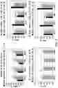 Fig. 09 - Methods for Preparing CDNA Samples for RNA Sequencing, and CDNA Samples and Uses Thereof