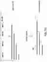 Fig. 12 - Methods for Preparing CDNA Samples for RNA Sequencing, and CDNA Samples and Uses Thereof