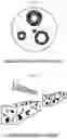 Fig. 08 - Applications of the shapeless (Entropic) alphabet