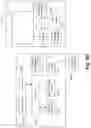 Fig. 22 - Selectively conditioning audio signals based on an audioprint of an object