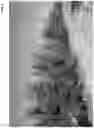 Fig. 02 - OLIVE TREE NAMED 'I-30'