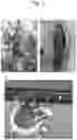 Fig. 02 - Apparatus for producing a bagworm silk thread, and method of producing long bagworm silk thread