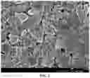Fig. 02 - NANOCRYSTALLINE EYE DROP, PREPARATION METHOD AND USE THEREOF