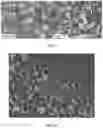 Fig. 02 - Hydration gel particle for chemoembolization comprising biodegradable polymer