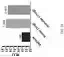 Fig. 26 - Compositions comprising circular polyribonucleotides and uses thereof