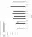 Fig. 43 - Compositions comprising circular polyribonucleotides and uses thereof