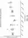 Fig. 03 - IMMUNOMODULATORY PHARMACEUTICAL COMPOSITIONS INCLUDING A SYNTHETIC PEPTIDE AND TRANSFORMING GROWTH FACTOR BETA