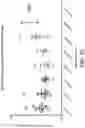 Fig. 05 - IMMUNOMODULATORY PHARMACEUTICAL COMPOSITIONS INCLUDING A SYNTHETIC PEPTIDE AND TRANSFORMING GROWTH FACTOR BETA