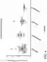 Fig. 08 - IMMUNOMODULATORY PHARMACEUTICAL COMPOSITIONS INCLUDING A SYNTHETIC PEPTIDE AND TRANSFORMING GROWTH FACTOR BETA
