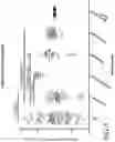 Fig. 09 - IMMUNOMODULATORY PHARMACEUTICAL COMPOSITIONS INCLUDING A SYNTHETIC PEPTIDE AND TRANSFORMING GROWTH FACTOR BETA