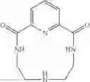 Fig. 30 - DENDRIMER FOR THERAPY AND IMAGING