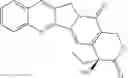 Fig. 63 - DENDRIMER FOR THERAPY AND IMAGING