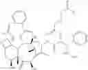 Fig. 82 - DENDRIMER FOR THERAPY AND IMAGING