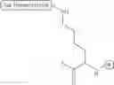 Fig. 84 - DENDRIMER FOR THERAPY AND IMAGING