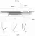 Fig. 02 - SMOOTH TRANSITION CATHETERS