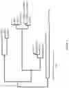 Fig. 02 - SELECTIVE TERMINAL FUNCTIONALIZATION OF ALKANES
