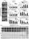 Fig. 06 - METHODS AND SYSTEMS FOR IMPROVING CELLS FOR USE IN THERAPY