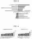 Fig. 04 - METHOD FOR FORECASTING ARRIVAL OF DRUG INSIDE DISEASED TISSUE