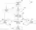 Fig. 01 - Vascular characteristic determination with correspondence modeling of a vascular tree