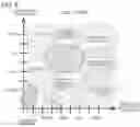 Fig. 09 - ANALYSIS APPARATUS, ANALYSIS METHOD, AND STORAGE MEDIUM
