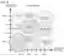 Fig. 10 - ANALYSIS APPARATUS, ANALYSIS METHOD, AND STORAGE MEDIUM