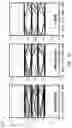 Fig. 09 - Apparatuses, systems, and methods for frequency-dependent signal modulation