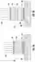 Fig. 08 - Sacrificial capping layer for passivation using plasma-based implant process