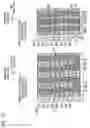 Fig. 22 - Non-volatile semiconductor storage device and method of manufacturing the same