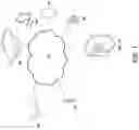 Fig. 02 - INBOUND AND OUTBOUND COMMUNICATION SESSION AND CALL CONTROL