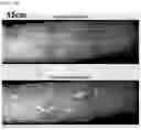 Fig. 15 - Camera device