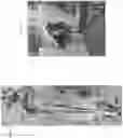 Fig. 06 - Method for processing beef