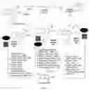 Fig. 02 - NEUROPROTECTIVE COMPOUNDS AND METHODS OF USE