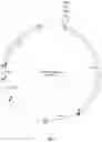 Fig. 02 - MICROENCAPSULATED AND CHROMOSOME INTEGRATED COMPOSITIONS FOR L-DOPA MICROBIOME THERAPY