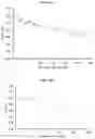 Fig. 02 - DILUENTS FOR COMPOSITIONS OF CANNABINOIDS AND USES THEREOF