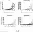 Fig. 22 - Complex comprising a cell penetrating peptide, a cargo and a TLR peptide agonist for treatment of colorectal cancer