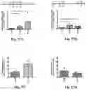 Fig. 28 - Complex comprising a cell penetrating peptide, a cargo and a TLR peptide agonist for treatment of colorectal cancer