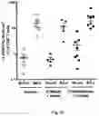 Fig. 35 - Complex comprising a cell penetrating peptide, a cargo and a TLR peptide agonist for treatment of colorectal cancer