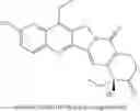 Fig. 05 - HSP90-TARGETING CONJUGATES AND FORMULATIONS THEREOF