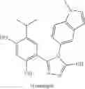 Fig. 09 - HSP90-TARGETING CONJUGATES AND FORMULATIONS THEREOF