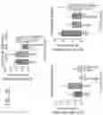 Fig. 28 - COMBINATION THERAPY FOR TREATING MUSCULAR DYSTROPHY