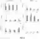 Fig. 12 - Injectable Therapeutic Biocompatible Co-Polymers and Methods of Making and Using Same