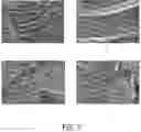 Fig. 13 - Injectable Therapeutic Biocompatible Co-Polymers and Methods of Making and Using Same