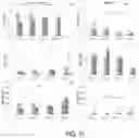 Fig. 17 - Injectable Therapeutic Biocompatible Co-Polymers and Methods of Making and Using Same