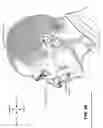 Fig. 09 - PATIENT INTERFACE SYSTEM AND COMPONENTS THEREFOR